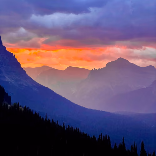 Mountain Marmalade