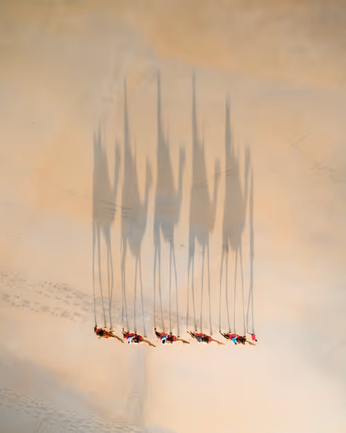 Item #98364308577151193896223353629965486931327977974902168475633960449513533472769 Media