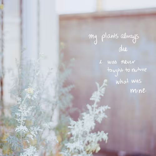 Item #94522315458066235172106531625010025952964555546866048956582119496592656433153 Media