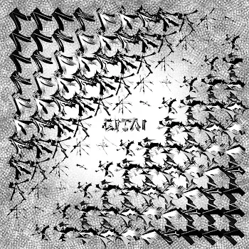 76398140109613087362032663491392151419471808017617349103776371554674991431681