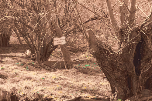 Item #94035650234493151169169307616889538055244007343231067987220881143887999008769 Media