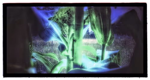 Item #3787080761074609709675817509753112159059746763483256848434353611672477761541 Media