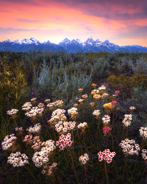 Item #37701692604240833627253285702133416503729912099982209521242011460830568120321 Media