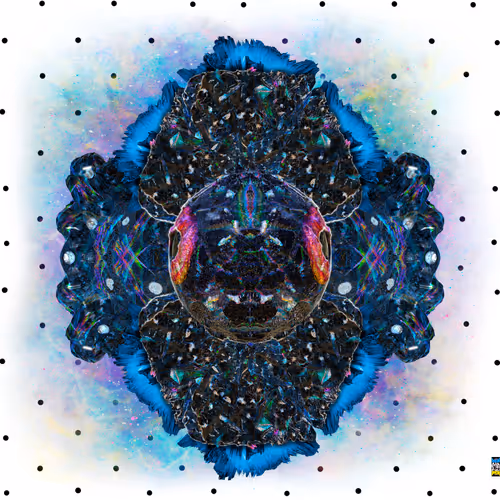 Item #66819198944340967802999770647966757568792449058162794451091882923091243827201 Media