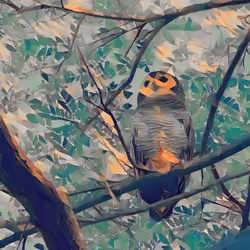 Fragile Forest 12 - Spotted Wood Owl