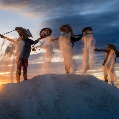 Salt Harvest