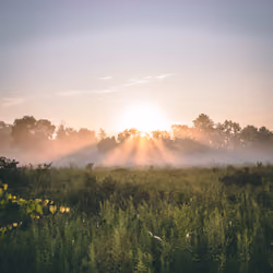 Foggy Sun