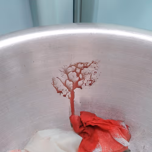 Item #80429871025811185059637884652673309792751753756700706488218533733540158242817 Media