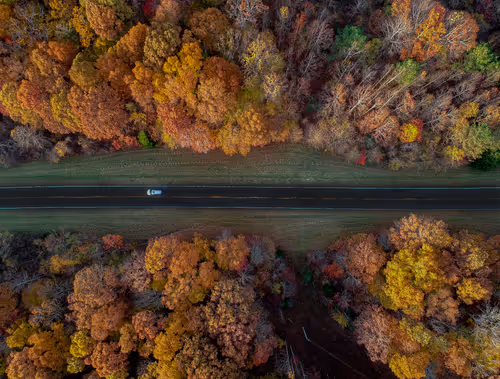 Item #28187909391787520408412239332868323403423285736064435594618499059131355234305 Media