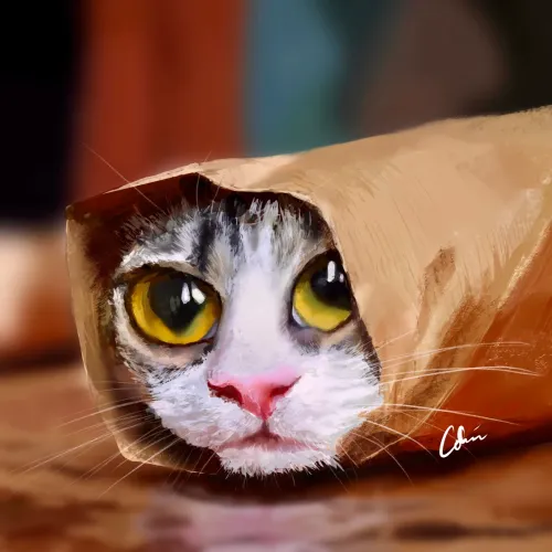 Item #87585784605976875247844008338925931365801658389806841873332695254871056580609 Media