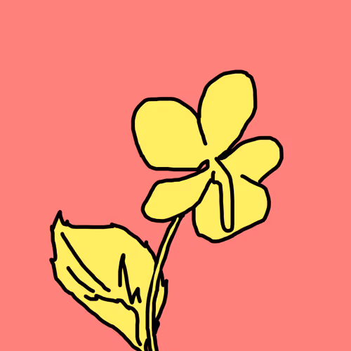 50757670010930022503106803943971214200901707688939653406662438791560342536193