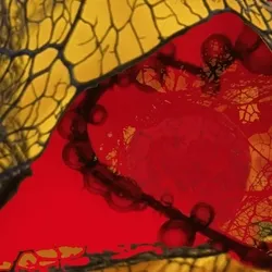 Caught In My Net