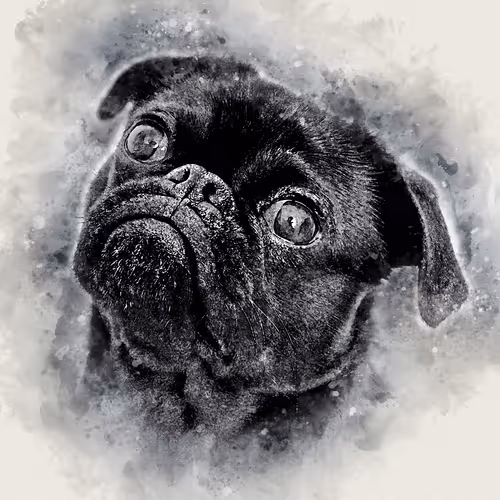 Item #58778693027167081171551254425987739881212938783430637935774676646803353370625 Media