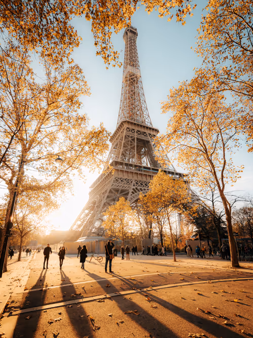 Item #32669381077864182263631644680711022772005041424268370164462394084671514214401 Media