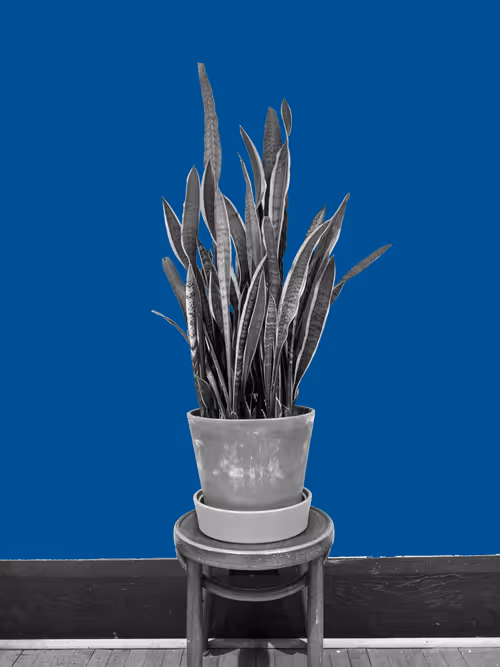 Item #25379124807980713745219244606437574046087384809022650852355167091729702584321 Media