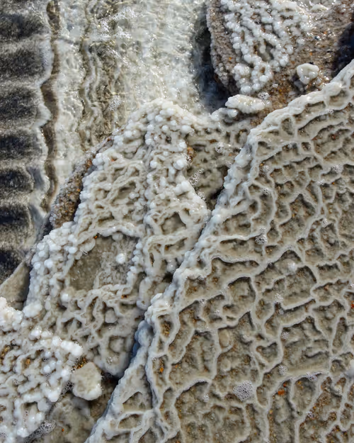 Item #95487849317578156668407947813270977219507958341613575813230836601888576634881 Media