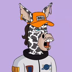 50246074227407042147680211225608572092502817657320737049193990200348284813313