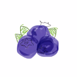 Blueberries!