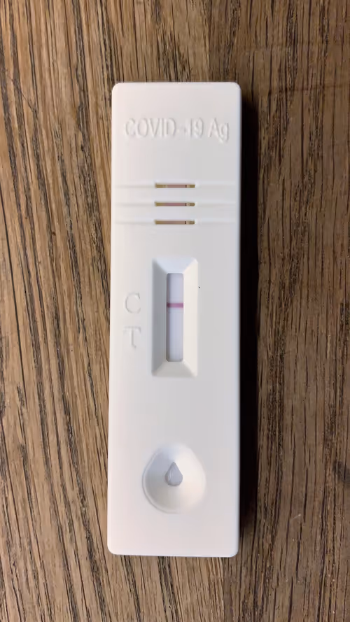 Item #26989150164140609200247036079790408866606814908493437460198890365871252832257 Media