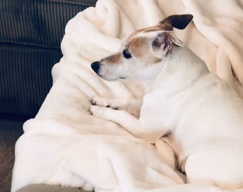 Item #5985210497355107417265215381210579199842884272282595265964883455090911870977 Media