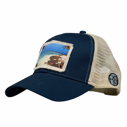 Item #25368776040682519390983776677225528740167958372111640572942765175518726717441 Media