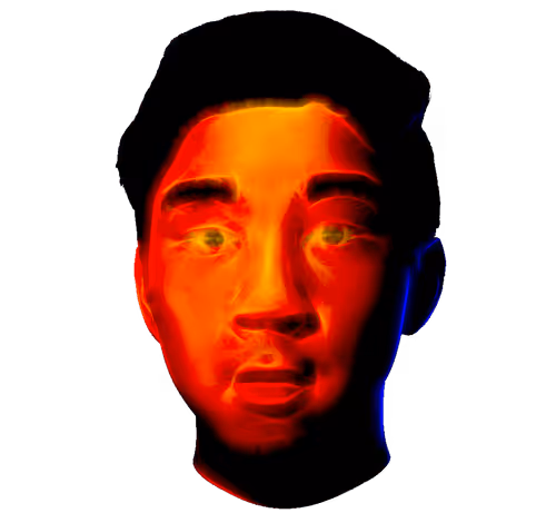 vietyork Collection - old