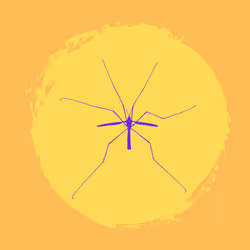 79067907305230177002014129353343413869651970885450883453575323034053920161793