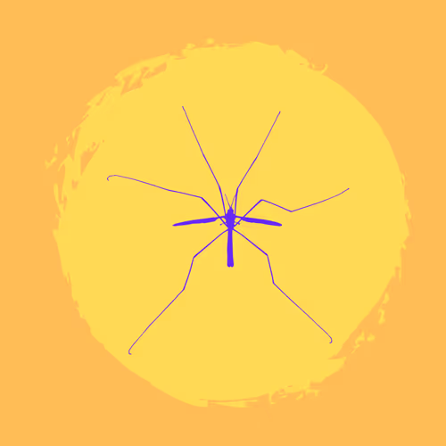 Item #79067907305230177002014129353343413869651970885450883453575323034053920161793 Media