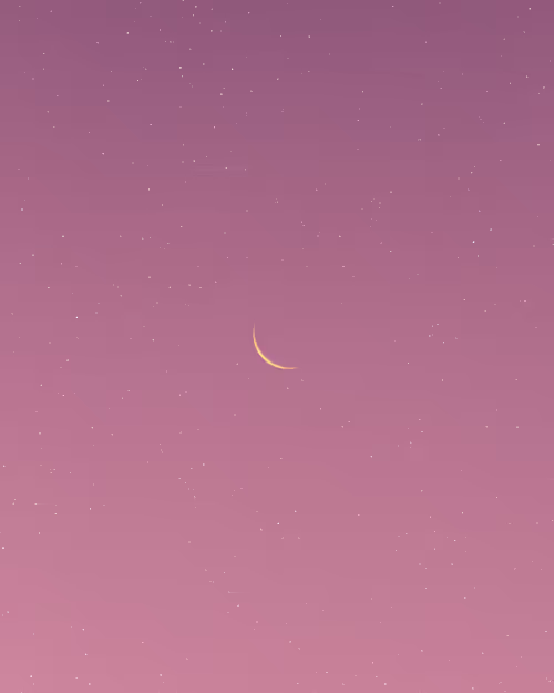 Item #9516099056367242152996622501750151802451978225621664057436231478644190478337 Media