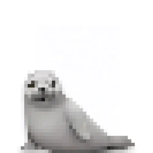 Item #10352108022268130223900023432056223293851600609427043094840467953212828155905 Media