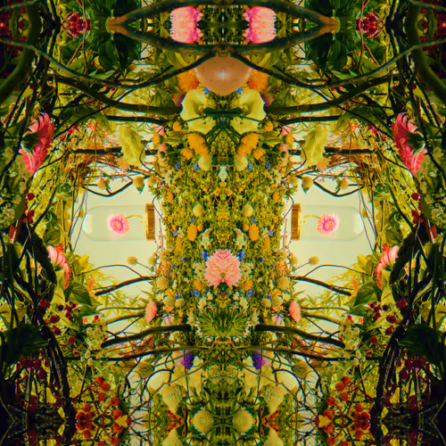 54411499690937640101772425138653578544162397958311670010148906858781587013633