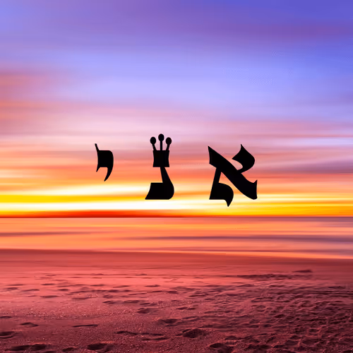 Item #60261209402415139582755570421670089329548312864668202741056927107103200378881 Media