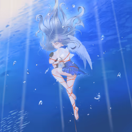 wakawaka collections