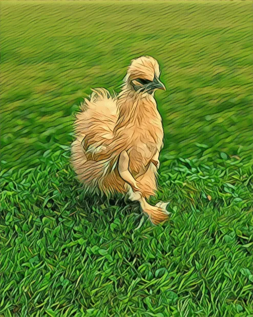 Item #12986001583624842443475589555777676835882886084855718816066093896076074418177 Media