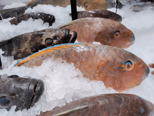 Item #33884978773652834998492452678806383072382496266847956265453593676587617746945 Media