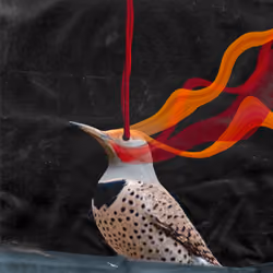 Flicker_Glitch_1