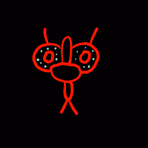 Chico Red