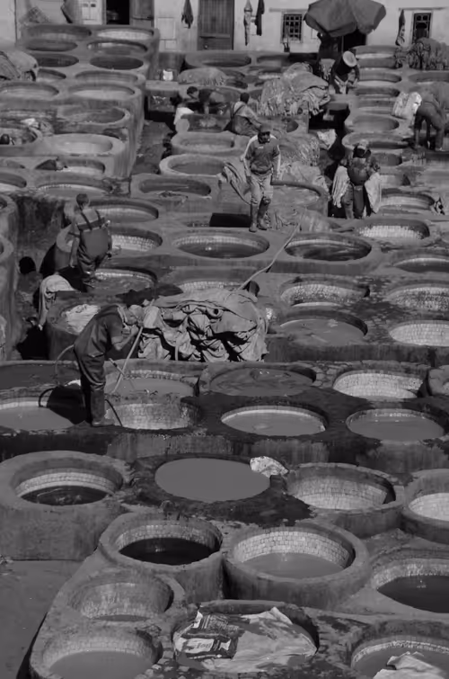 Item #44882446658105913853796509950000769097268566916228504631757224085338906951681 Media