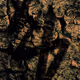 97255502007125572213268443033540626903035542257978066166149744765372905553921