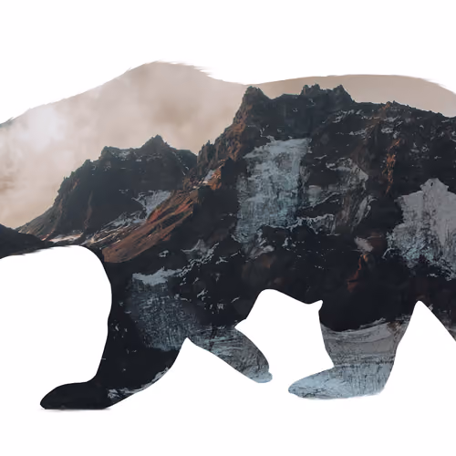 Mountain Bear