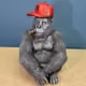 103300551507156975360604250495309387893001922618776338851229405899113648619521