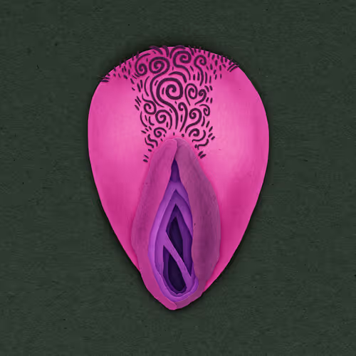 Item #83469337007199017734157032909695619947256388016886346874491258686092217417729 Media