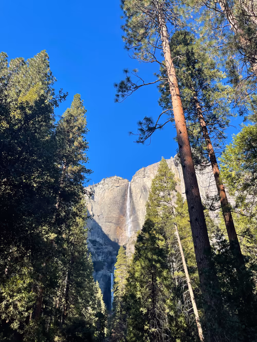 Item #60049021281838875725342691743098835561233814610274279407068971090316001017857 Media