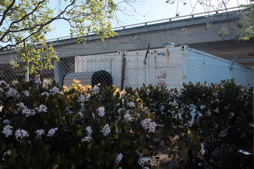 Item #63469761567061717341732170854689072472341875368113613158341509143649834762241 Media