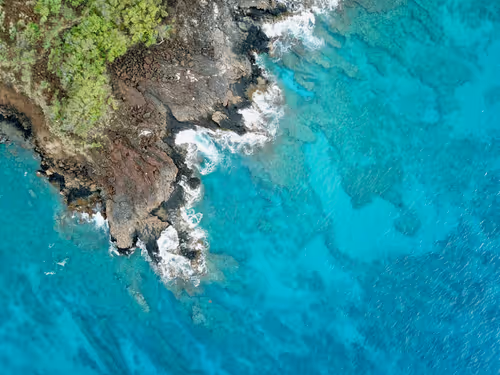 Item #25368776040682519390983776677225528740167958372111640572942765220598703456257 Media