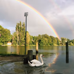 The greater the storm the brighter the rainbow.