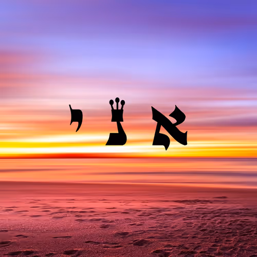 Item #60261209402415139582755570421670089329548312864668202741056927107103200378881 Media