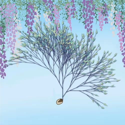 Item #57009555572129949968037836061383916208458381598981093971084421892634509836289 Media