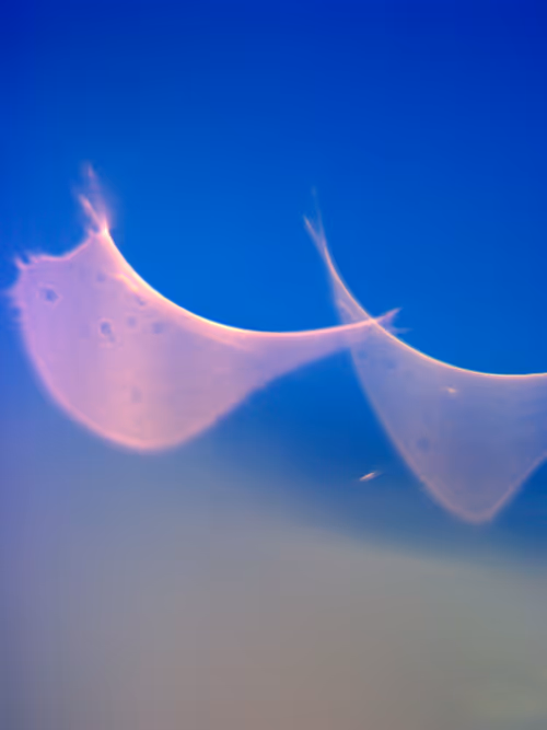 Item #82589602681596694281061629790616524482150904123241149325387241693909258076161 Media