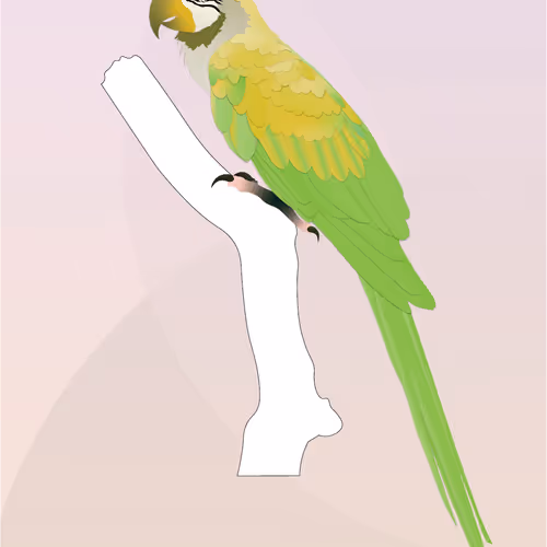 Vector Birds